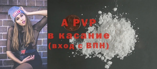 гидра Коряжма