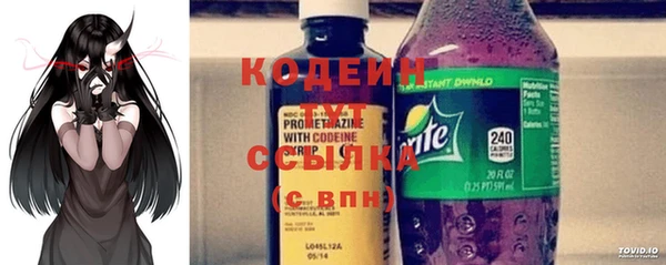 гидра Коряжма