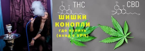 бошки Корсаков