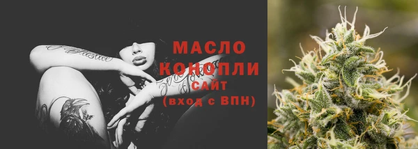 гидра Коряжма