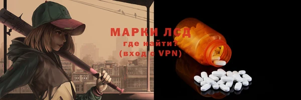 гидра Коряжма