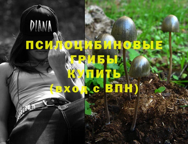 jwh Костерёво