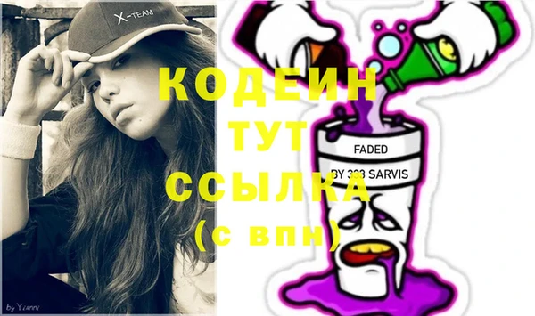 гидра Коряжма