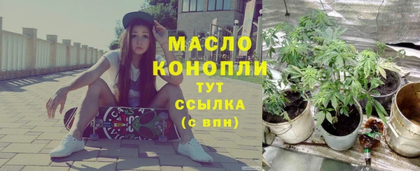 гидра Коряжма