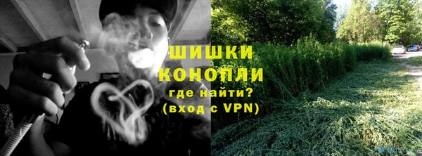 гидра Коряжма